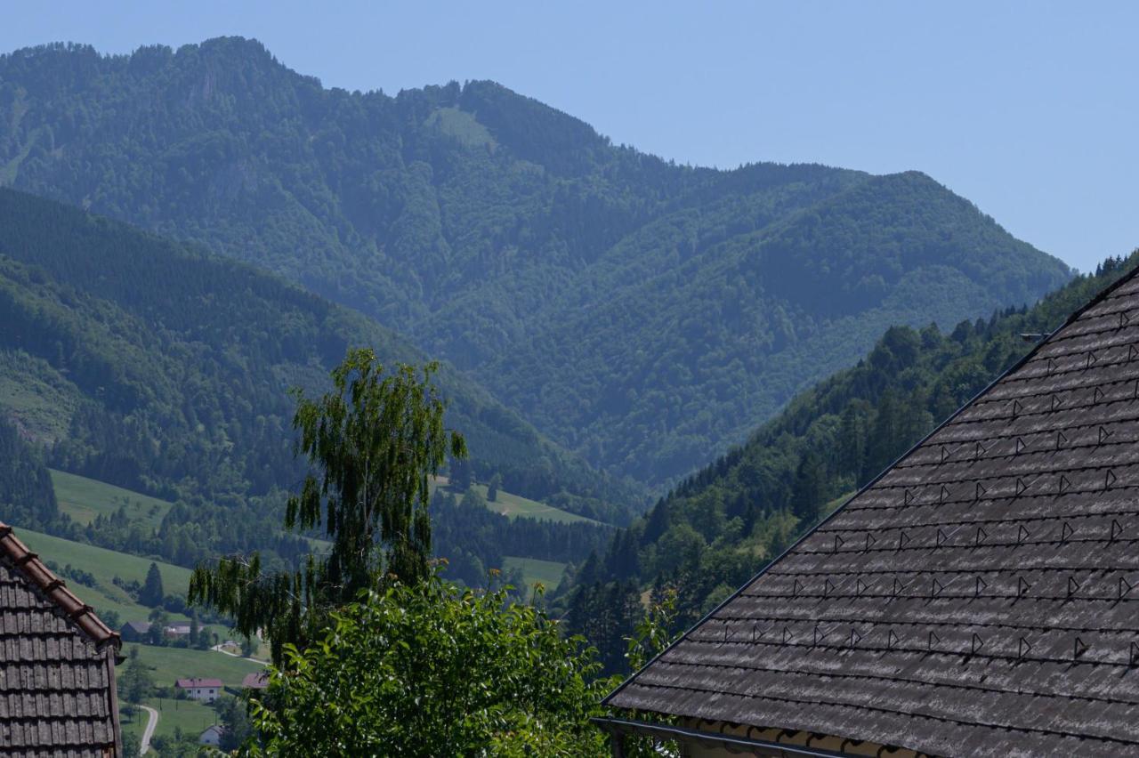 Landgasthof Kirchenwirt Grossraming Ngoại thất bức ảnh
